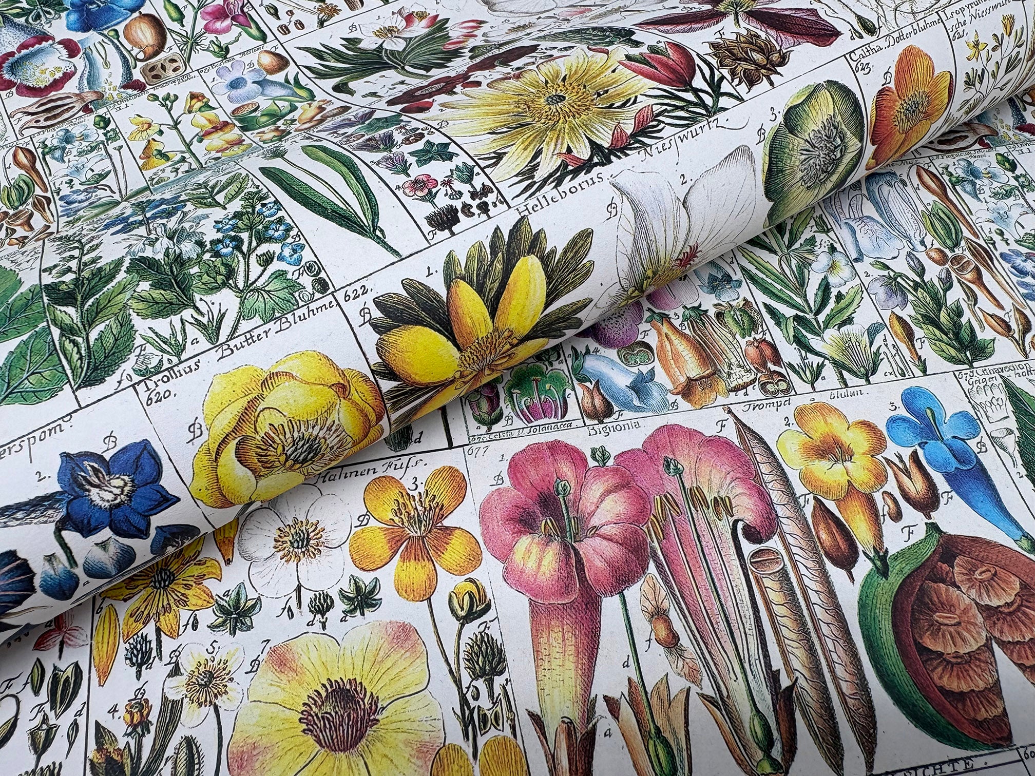 Pattern Papers - Figurative